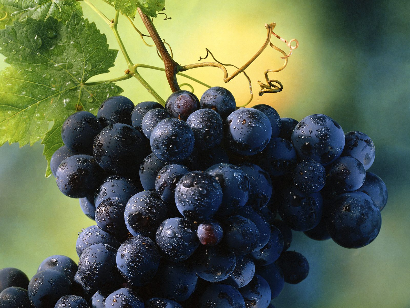 Україна імпортувала виноград на $3,3 млн