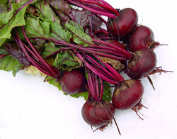 http://www.legkogotovit.com/downloads/image/132/vegetable_2.jpg