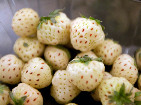 Белая клубника Pineberry