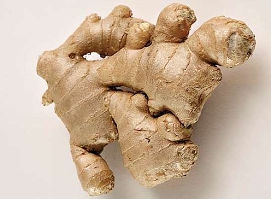 Имбирь (Ginger)